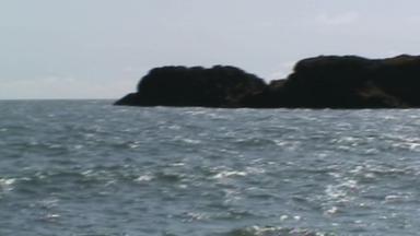 Móanóra
