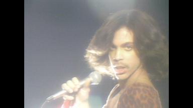I Wanna Be Your Lover