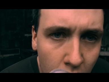 Between Angels And Insects