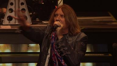 Animal - Live