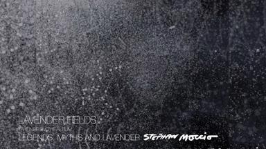 Lavender Fields (Audio)