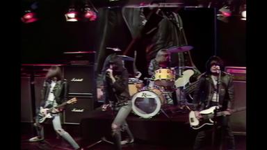 Sheena Is A Punk Rocker