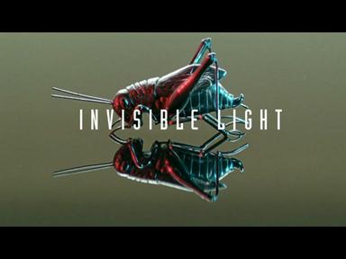 Invisible Light