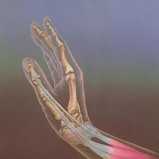 EE
