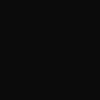 DS
