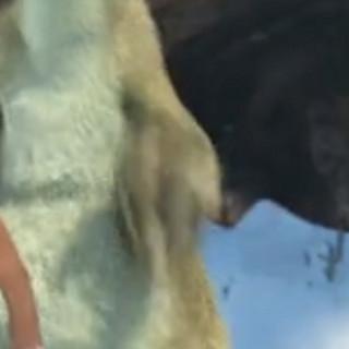 O