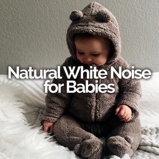 NB