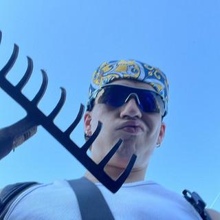 Z