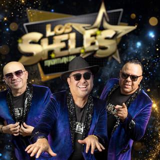 LS
