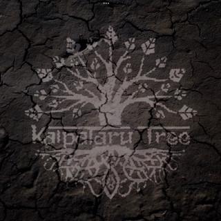 KT