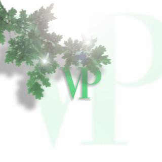VP