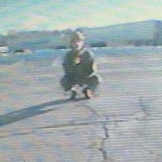 FW