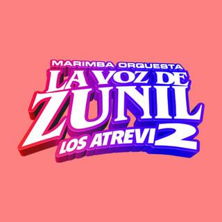 MZ