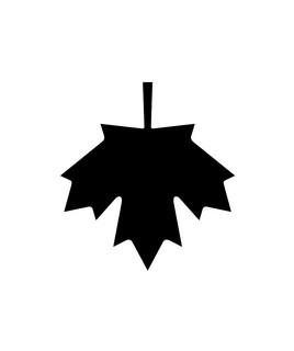 AE
