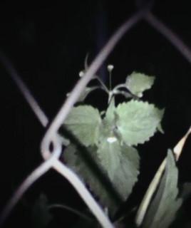 ON