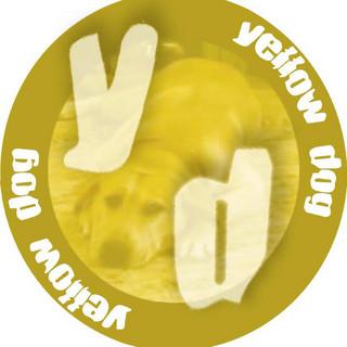 YD