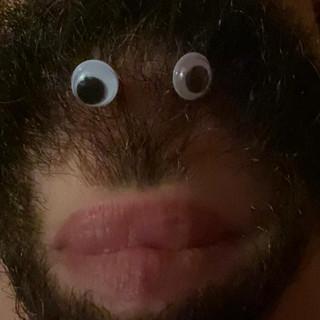 WO