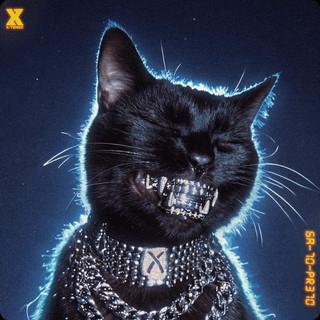 XT