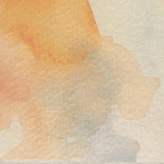 SS