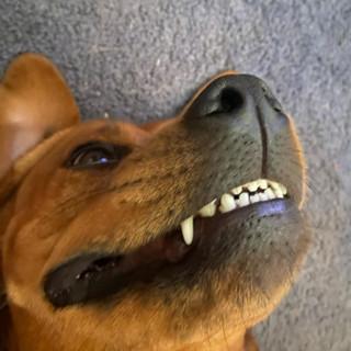 AW