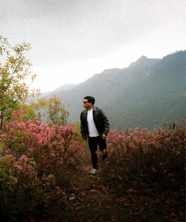 AA