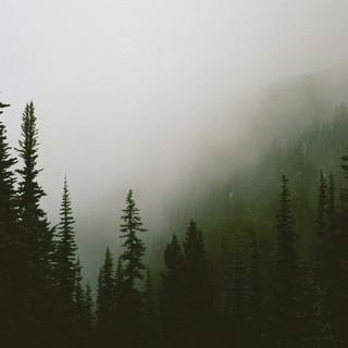 EG