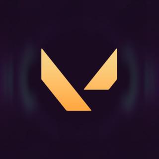 VM