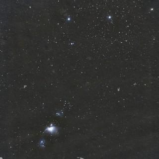 SE