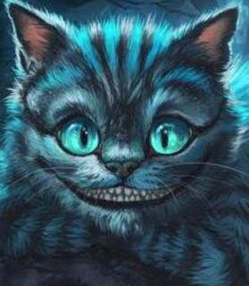 WF