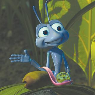 DK