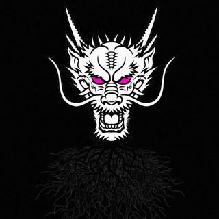 DR