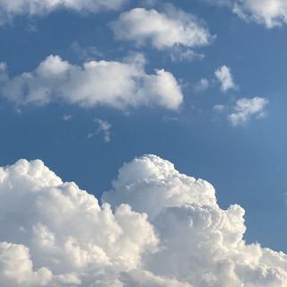 6C