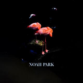 NP