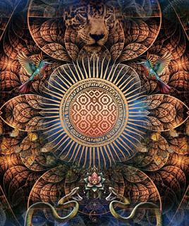CD