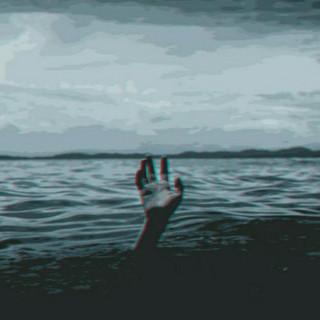 WP