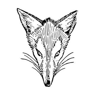 EF