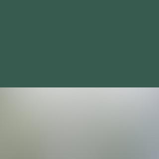 FA