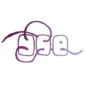 Y