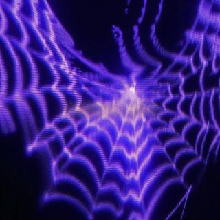 LL
