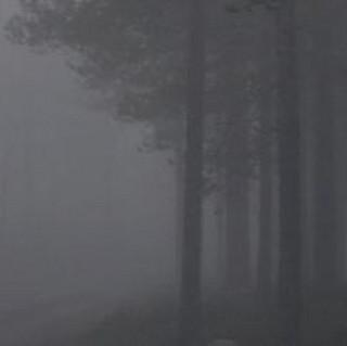 WE
