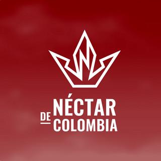 NC