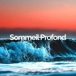SP