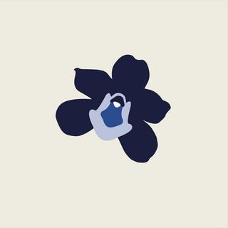 BC