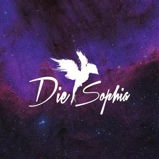 DS