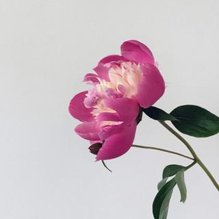 JR