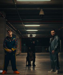 Y