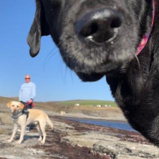 SR