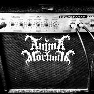 AM