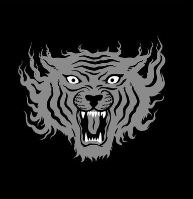 TS