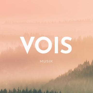 VM